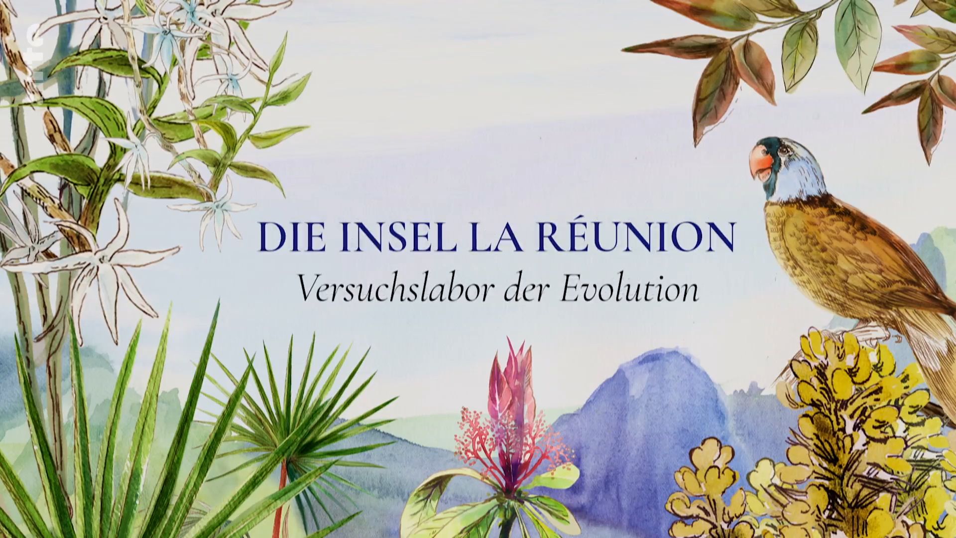 L'île de La Réunion - Laboratoire de l'évolution